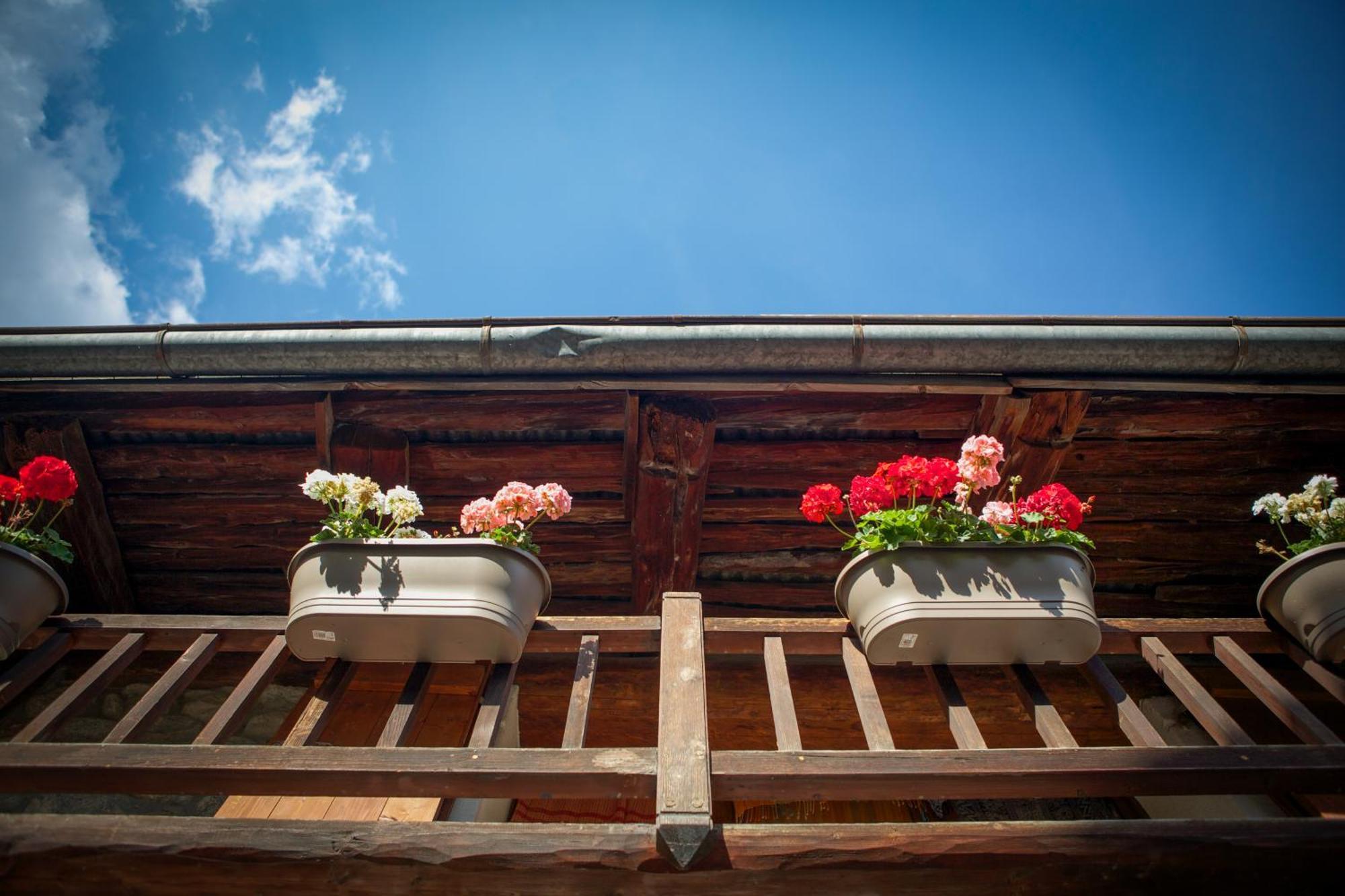 샤모니 Marmotte Mountain Manor 빌라 외부 사진